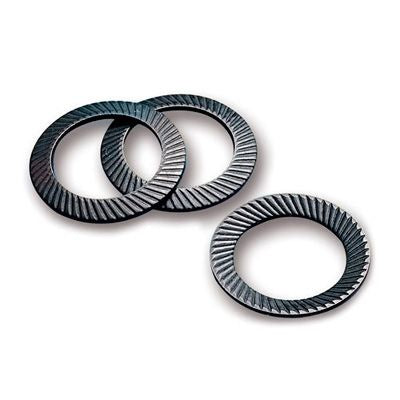 Schnorr Washer