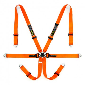 Harness Pro international Lightweight GT 6 Point 2"/2"/2" GT Adjustor